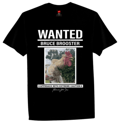 Bruce Brooster The Wanted Chicken Thumbnail