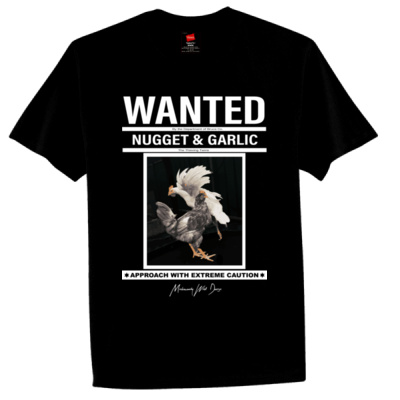 Nugget and Garlic The Wanted Chickens Thumbnail