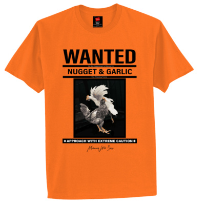 Nugget and Garlic The Wanted Chickens Thumbnail