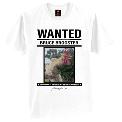 Bruce Brooster The Wanted Chicken Thumbnail